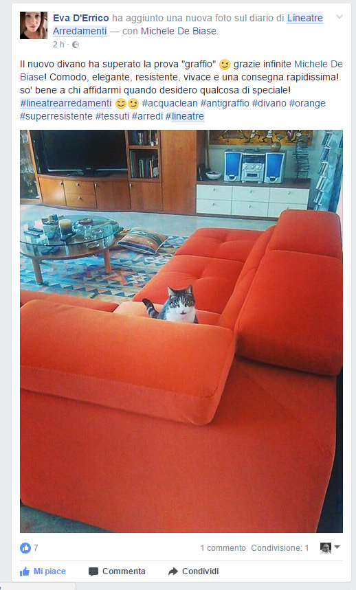 Se ho un gatto, è meglio scegliere un divano in ecopelle o in tessuto? -  Quora